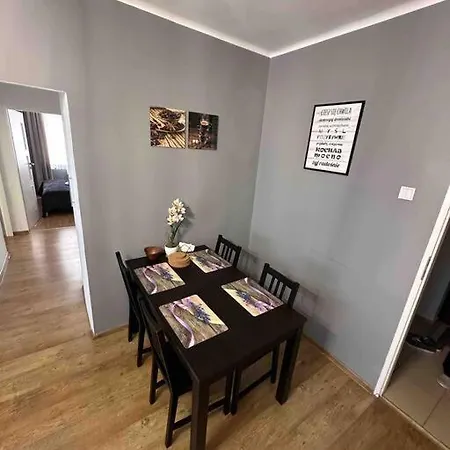 Apartment Przytulny I Komfortowy Zabrze