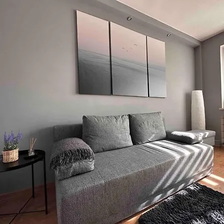 Spacious 2br Apartment,balcony, Self Check In * זברזה